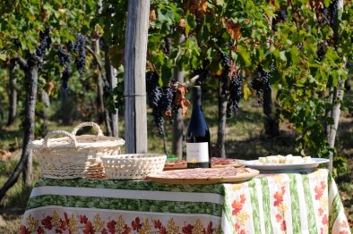 111 - FIEGL Vini 09_2011