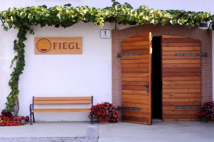 250 - FIEGL Vini 09_2011