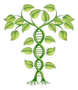 DNA