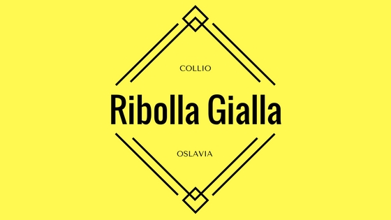 Ribolla Gialla, la regina del Collio - Fiegl viticoltori a
