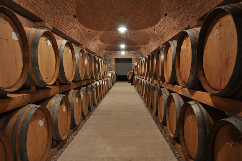 Barricaia