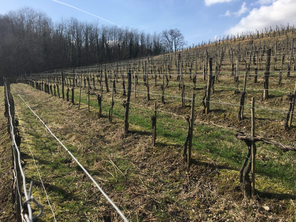 Inverno sul Collio