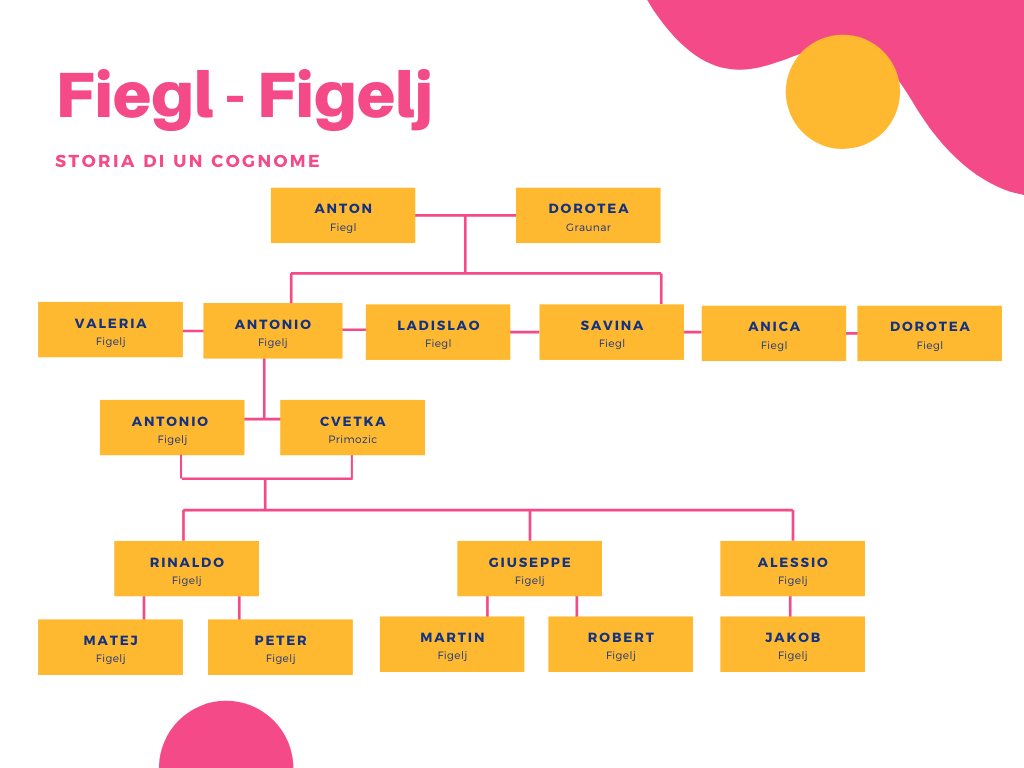 Albero genealogico Fiegl